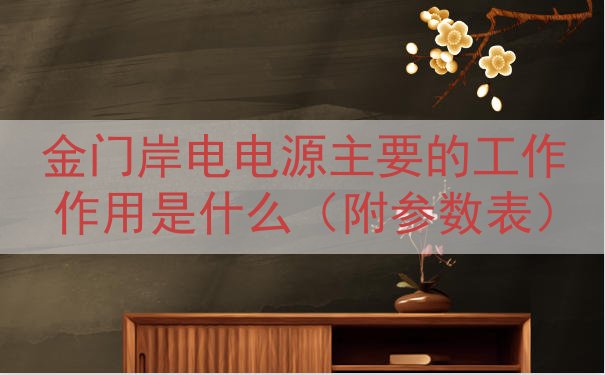 金门岸电电源的工作作用是什么（附参数表）